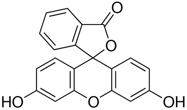 Fluorescein