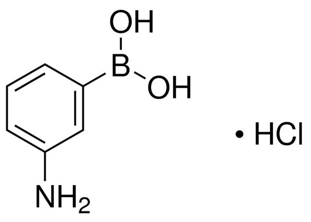 3-Aminophenylboronic acid hydrochloride