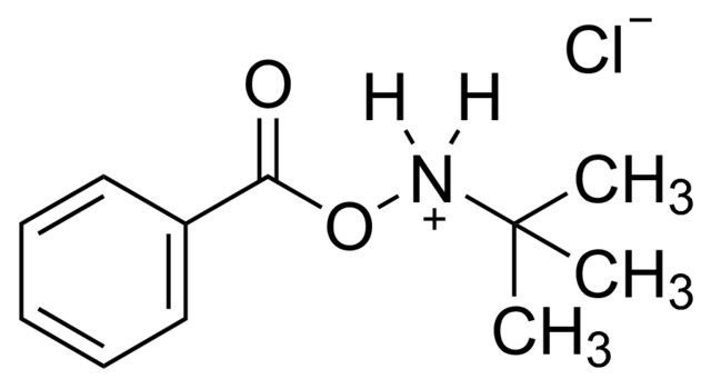 <i>N</i>-<i>tert</i>-Butyl-<i>O</i>-benzoylhydroxylamine hydrochloride