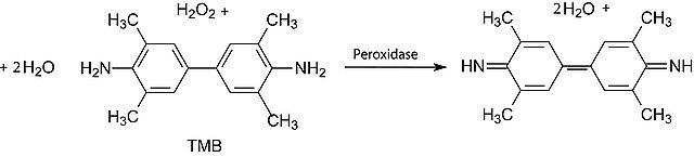 3,3,5,5-Tetramethylbenzidine dihydrochloride hydrate