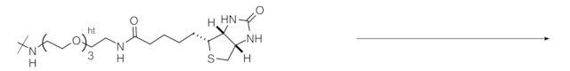 Reagent-cartridge Biotin tag-PEG<sub>3</sub>-NH<sub>2</sub>