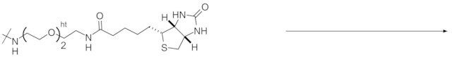 Reagent-cartridge Biotin tag-PEG<sub>2</sub>-NH<sub>2</sub>