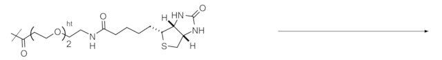 Reagent-cartridge Biotin tag-PEG<sub>2</sub>-COOTfp