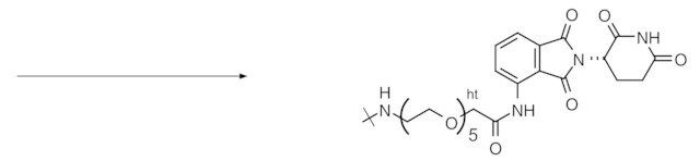 Reagent-cartridge CRBN-PEG<sub>5</sub>