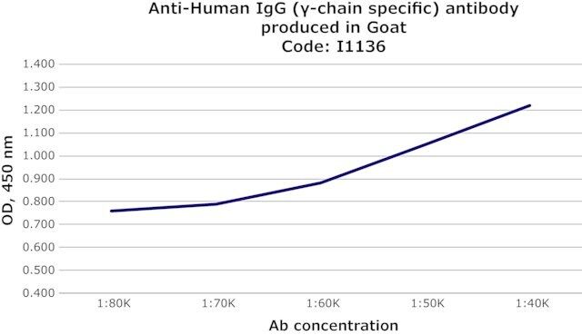 Anti-Human IgG (-chain specific) antibody produced in goat