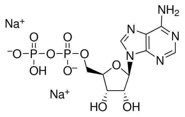 Adenosine 5-diphosphate disodium salt