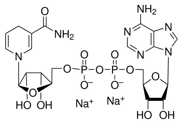 -Nicotinamide adenine dinucleotide, reduced disodium salt