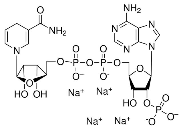 -Nicotinamide adenine dinucleotide 2-phosphate reduced tetrasodium salt