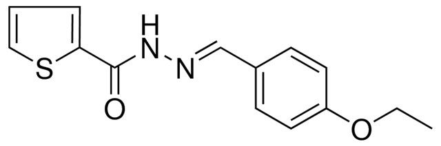 THIOPHENE-2-CARBOXYLIC ACID (4-ETHOXY-BENZYLIDENE)-HYDRAZIDE