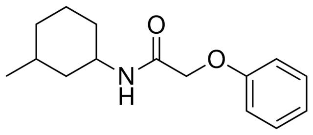 N-(3-METHYL-CYCLOHEXYL)-2-PHENOXY-ACETAMIDE