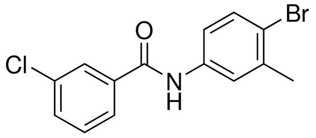 N-(4-BROMO-3-METHYL-PHENYL)-3-CHLORO-BENZAMIDE