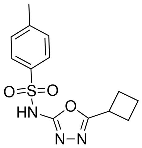 N-(5-cyclobutyl-1,3,4-oxadiazol-2-yl)-4-methylbenzenesulfonamide