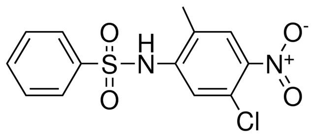 N-(5-CHLORO-2-METHYL-4-NITROPHENYL)-BENZENESULFONAMIDE