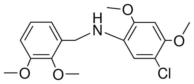 N-(5-CHLORO-2,4-DIMETHOXYPHENYL)-2,3-DIMETHOXYBENZYLAMINE