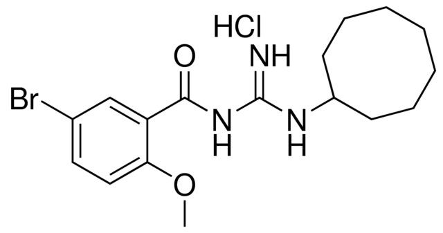 N-(5-BROMO-2-METHOXY-BENZOYL)-N'-CYCLOOCTYL-GUANIDINE, HYDROCHLORIDE