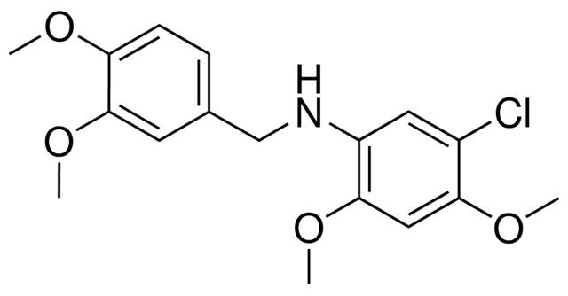 N-(5-CHLORO-2,4-DIMETHOXYPHENYL)-3,4-DIMETHOXYBENZYLAMINE