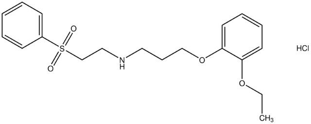 N-[3-(2-ethoxyphenoxy)propyl]-N-[2-(phenylsulfonyl)ethyl]amine hydrochloride