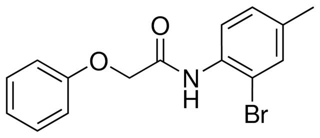 N-(2-BROMO-4-METHYL-PHENYL)-2-PHENOXY-ACETAMIDE