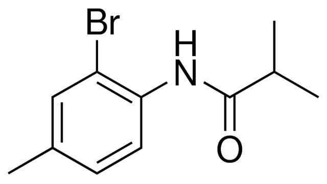 N-(2-BROMO-4-METHYL-PHENYL)-ISOBUTYRAMIDE