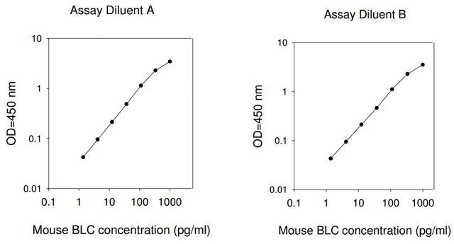 Mouse BLC / CCL13 ELISA Kit