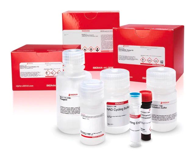 Monoamine Oxidase Activity Assay Kit