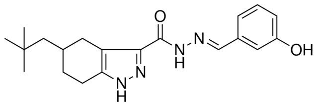 N'-[(E)-(3-HYDROXYPHENYL)METHYLIDENE]-5-NEOPENTYL-4,5,6,7-TETRAHYDRO-1H-INDAZOLE-3-CARBOHYDRAZIDE