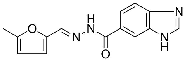 N'-((5-METHYL-2-FURYL)METHYLENE)-1H-BENZIMIDAZOLE-6-CARBOHYDRAZIDE