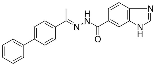 N'-(1-(1,1'-BIPHENYL)-4-YLETHYLIDENE)-1H-BENZIMIDAZOLE-6-CARBOHYDRAZIDE