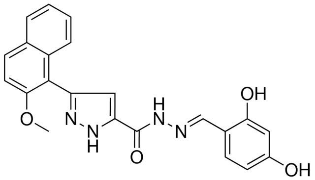 N'-[(E)-(2,4-DIHYDROXYPHENYL)METHYLIDENE]-3-(2-METHOXY-1-NAPHTHYL)-1H-PYRAZOLE-5-CARBOHYDRAZIDE