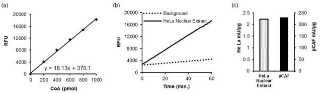 HAT ACTIVITY FLUOROMETRIC ASSAY KIT