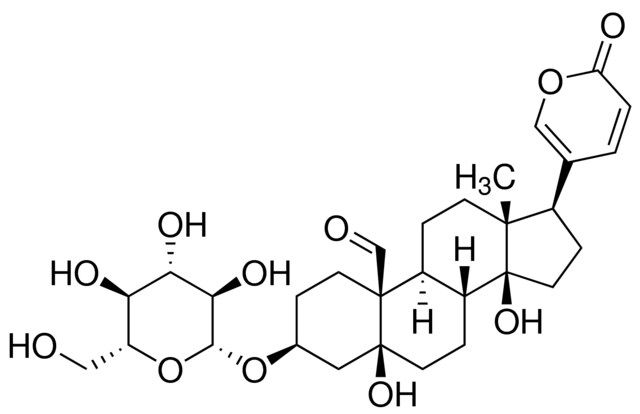 Hellebrigenin-3-O--glucoside