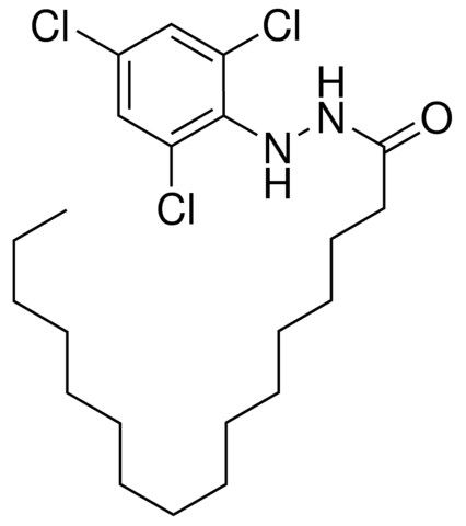 HEXADECANOIC ACID (2,4,6-TRICHLOROPHENYL)-HYDRAZIDE