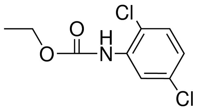 ETHYL N-(2,5-DICHLOROPHENYL)CARBAMATE