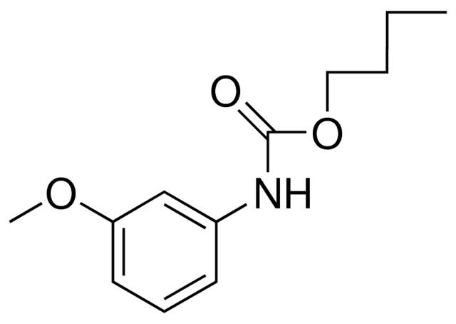 BUTYL N-(M-ANISYL)CARBAMATE