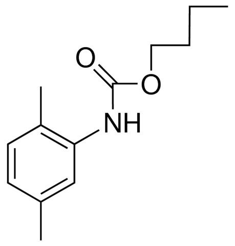 BUTYL N-(2,5-XYLYL)CARBAMATE