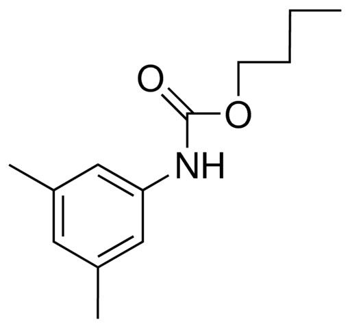 BUTYL N-(3,5-XYLYL)CARBAMATE