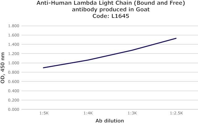 Anti-Human Lambda Light Chain (Bound and Free) antibody produced in goat