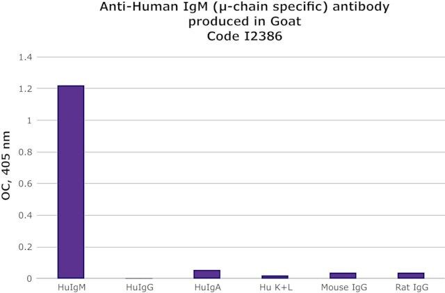 Anti-Human IgM (-chain specific) antibody produced in goat