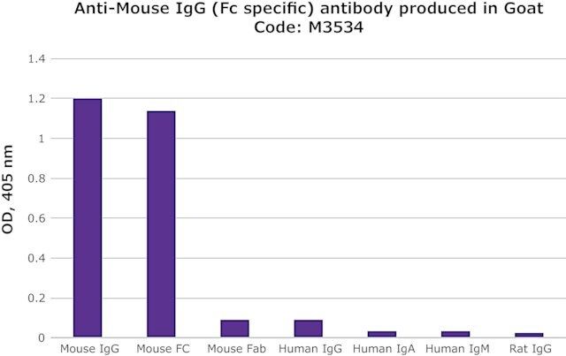 Anti-Mouse IgG (Fc specific) antibody produced in goat