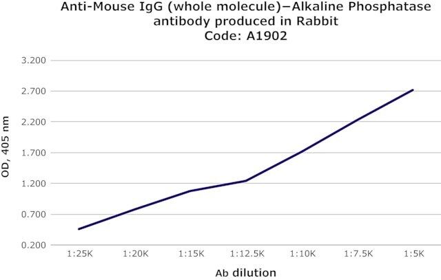 Anti-Mouse IgG (whole molecule)-Alkaline Phosphatase antibody produced in rabbit