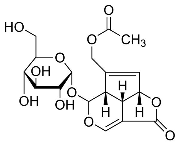 asperuloside