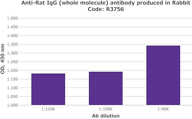 Anti-Rat IgG (whole molecule) antibody produced in rabbit