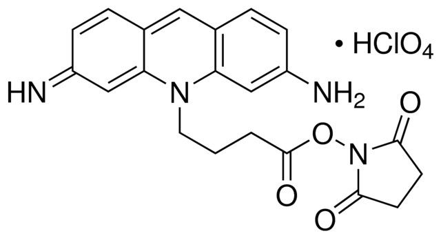 Atto 465 NHS ester