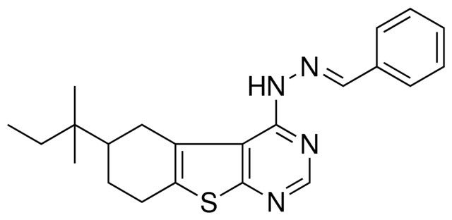 BENZALDEHYDE (6-TERT-PENTYL-5,6,7,8-TETRAHYDRO[1]BENZOTHIENO[2,3-D]PYRIMIDIN-4-YL)HYDRAZONE