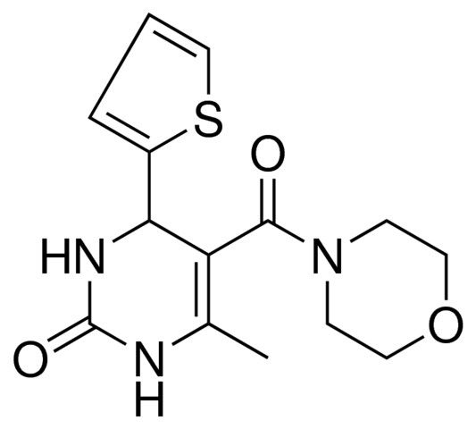 6-METHYL-5-(4-MORPHOLINYLCARBONYL)-4-(2-THIENYL)-3,4-DIHYDRO-2(1H)-PYRIMIDINONE