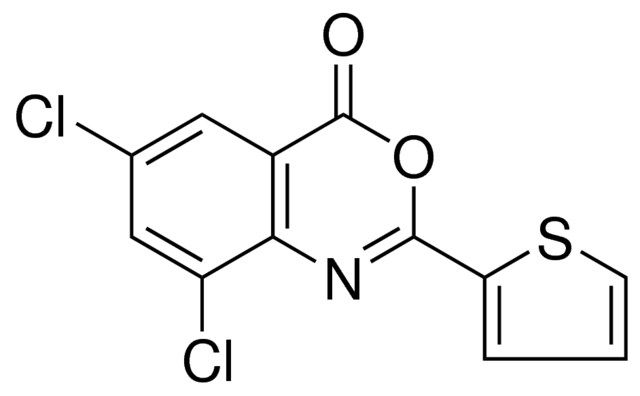 6,8-DICHLORO-2-THIOPHEN-2-YL-BENZO(D)(1,3)OXAZIN-4-ONE