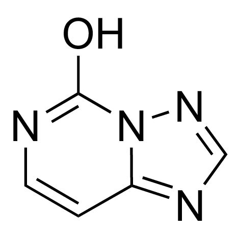 6H-[1,2,4]Triazolo[1,5-<i>c</i>]pyrimidin-5-one