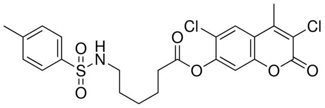 6(TOLUENE-4-SULFONYLAMINO)HEXANOIC ACID 3,6-DI-CL-4-ME-2-OXO-2H-CHROMEN7YL ESTER