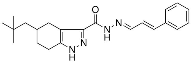 5-NEOPENTYL-N'-[(E,2E)-3-PHENYL-2-PROPENYLIDENE]-4,5,6,7-TETRAHYDRO-1H-INDAZOLE-3-CARBOHYDRAZIDE