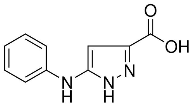 5-PHENYLAMINO-1H-PYRAZOLE-3-CARBOXYLIC ACID